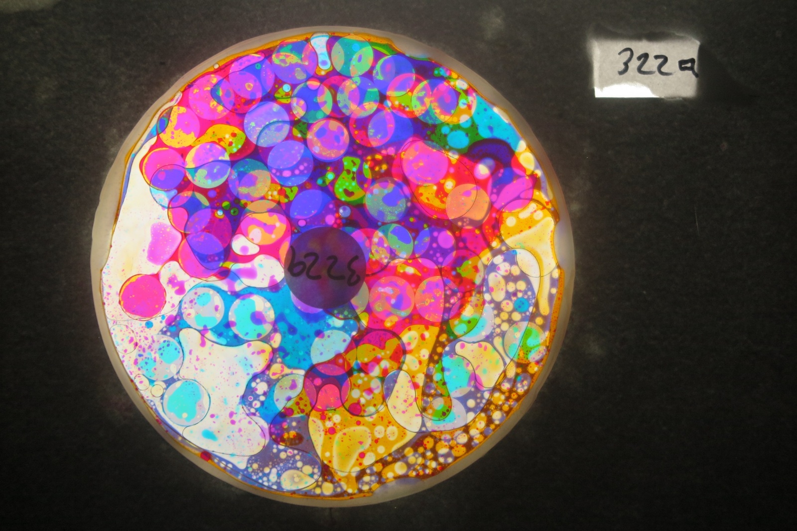 BV3229 bubble vision oil wheel